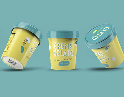 Packaging Design | True Italic Ice Cream