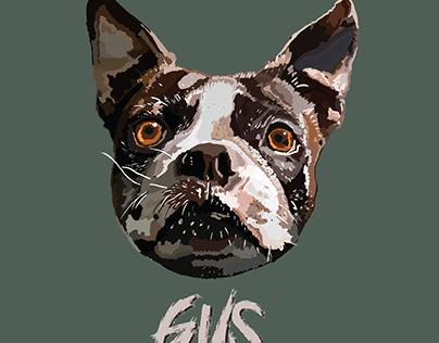 Gus Pet Portrait