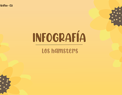 Infografía - Hamsters