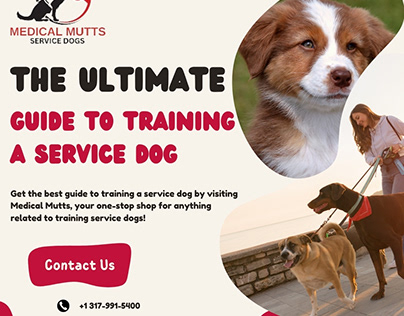 Unleash the Power of Training Your Service Dog | USA