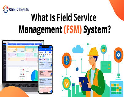 Describing The Field Service Management System