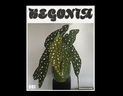 Plant series 001: Spotted begonia poster