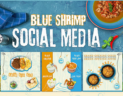 BLUE SHRIMP SOCIAL MEDIA DESIGNS