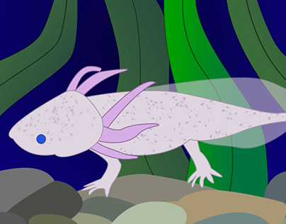 Axolotl Animation