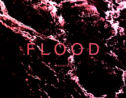 FLOOD - video loop / 2013
