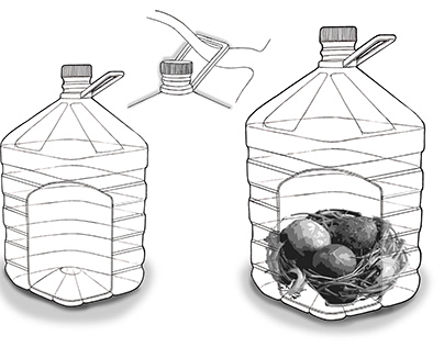 Bird nest using recycle bottle