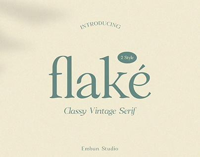 Flake Serif Font