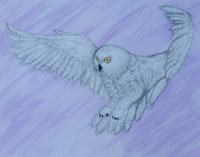 Snow Owl Watercolor