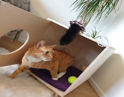 cat litter box enclosure