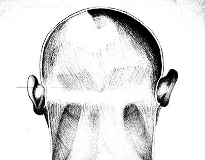 BACK HEAD (anatomi)