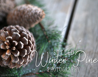 Winter Pine | Styled Photography