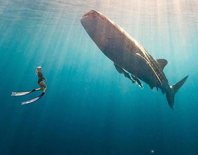Is Freediving As Deadly As It Seems?