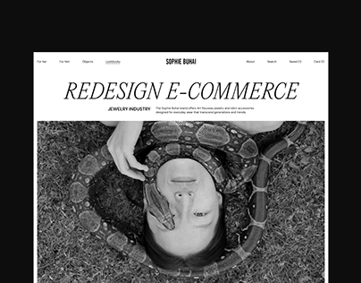 Concept redesign e-commerce
