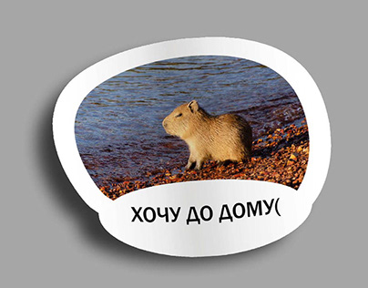 Capybara Chil