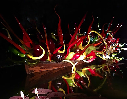Chihuly At Night - The Biltmore House, August 2018