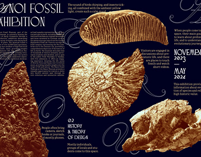Hanoi Fossil Exhibition