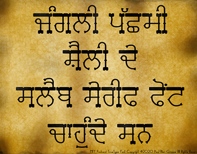 Pachami Punjabi TrueType font