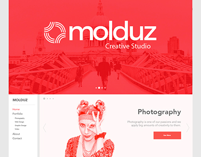 Molduz Creative Studio Homepage
