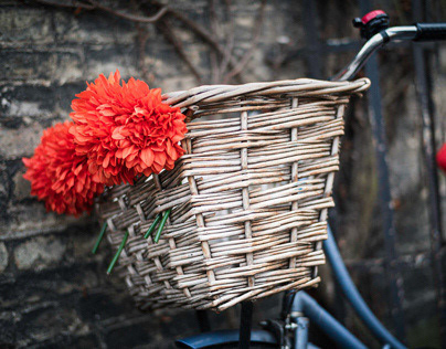 Bicycles and Baskets