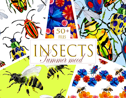Insects. Summer mood