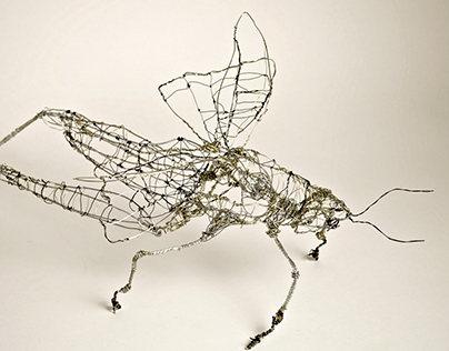 Wire Grasshopper