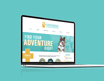 Coconino Humane Association: Rebrand Concept