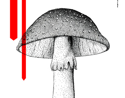 FLY AGARIC AND VENUS FLYTRAP | ink illustrations