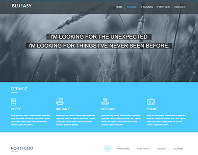 Blueasy web landing page