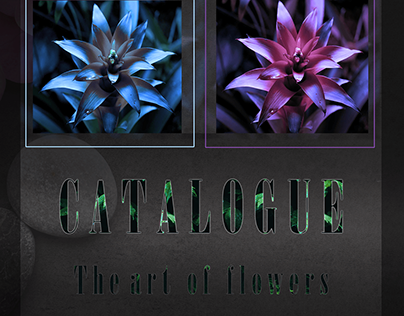 Katalog - the art of flowers