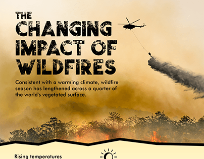 The Changing Impact of Wildfires