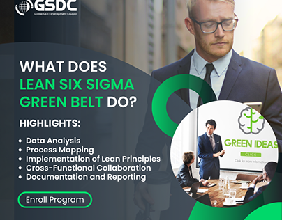 What does Lean Six Sigma Green Belt do?