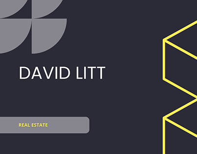 David Litt Real Estate