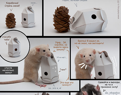 Concept package design - cone for rodents
