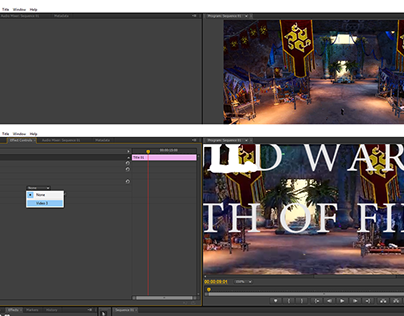 work process for the "guild wars 2 experience" video