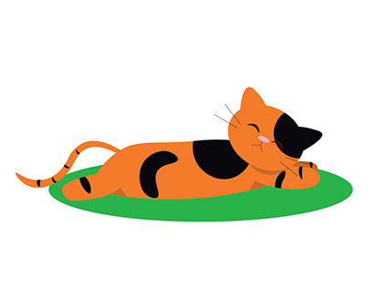 Orange Cat is Sleeping