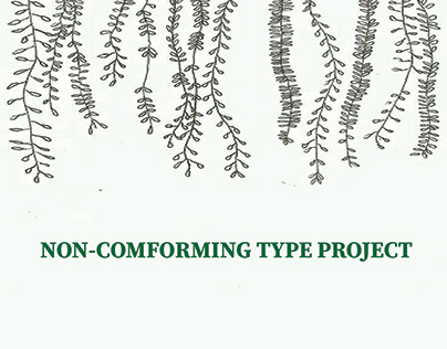 Non-conforming type project