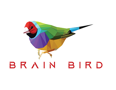 brain bird