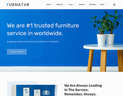 Furniture Ecommerce Website Design