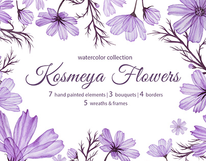 Kosmeya Flowers. Watercolor collection