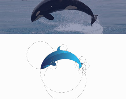 Dolphin Swimming Coaching Logo design with Golden Ratio