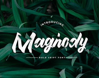 Maghody - Bold Script Font
