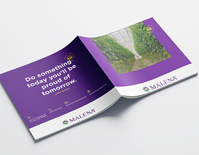 Malena Produce - Diseño de Brochure