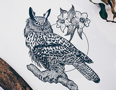 Bird tattoo illustrations - Inktober 2017
