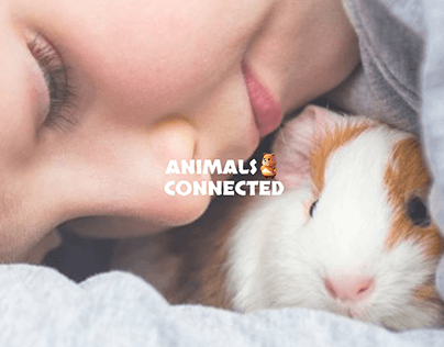 Animals Connected 🐰🦎 | Board Publicitario con IA