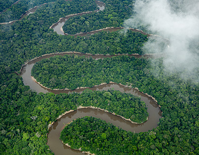 Sobrevuelo, Amazonas