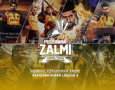 Project thumbnail - Digibolt x Peshawar Zalmi | PSL 8