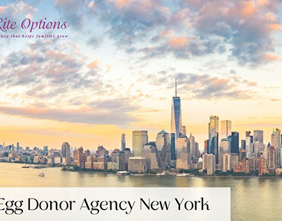 Egg Donor Agency New York