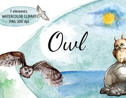 Watercolor owl set