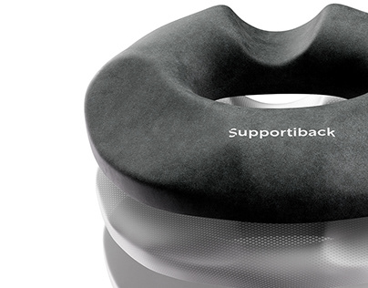Supportiback Cushion Renders