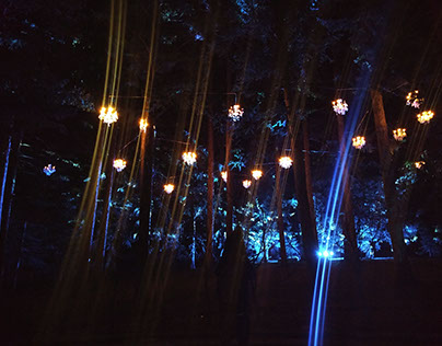 Morton Arboretum Christmas Lights